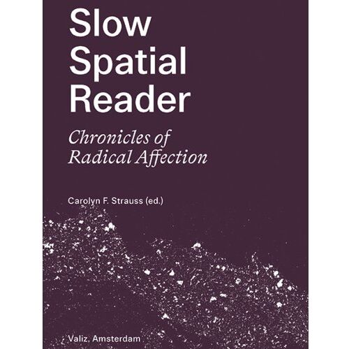 Valiz Slow Spatial Reader - Carolyn Strauss