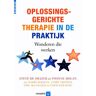 Hogrefe Uitgevers Bv Oplossingsgerichte Therapie In De Praktijk - S. de Shazer