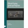 Van Haren Publishing Effectief Sturing Geven Aan Projecten - Project Management Topics - L. de Zoete