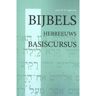 Importantia Publishing Bijbels Hebreeuws / Basiscursus - H. Jagersma
