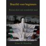 Piramidions Brazilië Voor Beginners - Klaas M. Bisschop