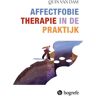 Hogrefe Uitgevers Bv Affectfobietherapie In De Praktijk