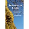 Brave New Books De Boom Van Belofte - Gerrit Damsma
