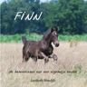 Mijnbestseller B.V. Finn - Liesbeth Wesdijk