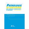 Springer Media B.V. Pathologie En Geneeskunde Voor Fysiotherapie, Bewegingstherapie En Ergotherapie - J.H. Vrijenhoek