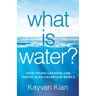 Mckinsey & Company Netherlands What Is Water? - Kayvan Kian