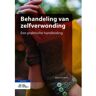 Springer Media B.V. Behandeling Van Zelfverwonding - Barent W. Walsh