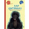 Dyslexion B.V. Aap Ontsnapt - Dierenalarm! - Marion van de Coolwijk