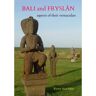 Brave New Books Bali And Fryslân: Aspects Of Their Vernaculars - Rients Aise Faber