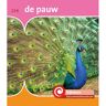 Schoolsupport Uitgeverij Bv De Pauw - De Kijkdoos - Minke van Dam