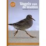 Bekking & Blitz Uitg. Vogels Van De Wadden - Marc Plomp