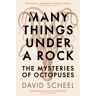 Hodder Many Things Under A Rock: The Mysteries Of Octopuses - David Scheel
