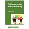 Brave New Books Faillissement En Schuldsanering - Willy Debets