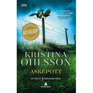 Askepott Av Kristina Ohlsson