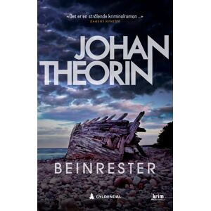 Beinrester Av Johan Theorin