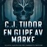 En Glipe Av Mørke Av C.J. Tudor