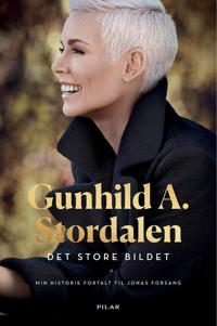 Stordalen, Gunhild A. Det store bildet (8293516046)