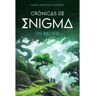 Livro Crónicas Enigma Inúteis De Maria F. Macedo