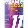 Exame 2024 Física E Química A 11