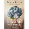 Livro Os Esquecidos De Domingo De Valérie Perrin