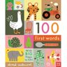 Livro 100 first words de edward underwood (inglês)