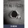 Ett hål i väggen, E-bok