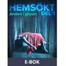 Anden i glaset, E-bok