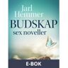 Budskap: sex noveller, E-bok