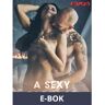 A Sexy Package, E-bok