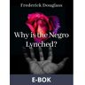 Why is the Negro Lynched?, E-bok