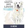 Samtal med Louie, E-bok