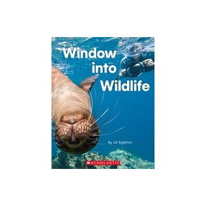 Connectors Silver: Window into Wildlife x 6