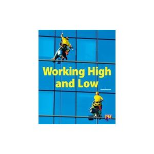 PM Ruby: Working High and Low (PM Guided Reading Non-fiction) Level 27