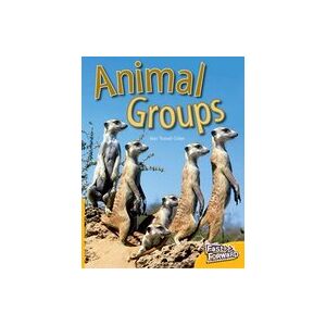 Fast Forward Yellow: Animal Groups (Non-fiction) Level 6