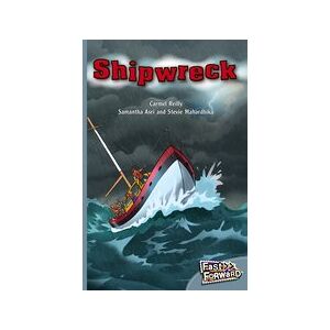 Fast Forward Silver: Shipwreck (Fiction) Level 24