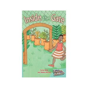 Fast Forward Turquoise: Inside the Gate (Fiction) Level 17
