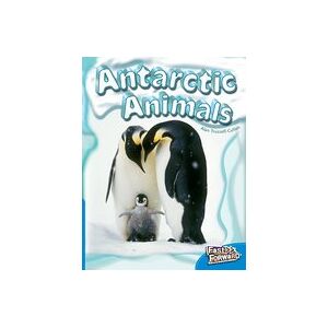 Fast Forward Blue: Antartic Animals (Non-fiction) Level 9