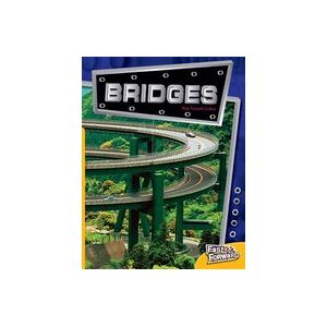 Fast Forward Yellow: Bridges (Non-fiction) Level 7