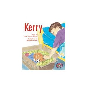 PM Silver: Kerry (PM Storybooks) Level 23 x 6