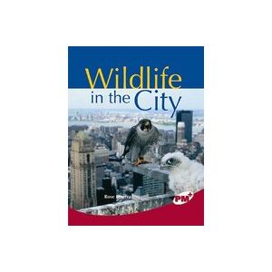 PM Ruby: Wildlife in the City (PM Plus Non-fiction) Levels 27, 28 x 6