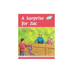 PM Turquoise: A Surprise for Zac (PM Plus Storybooks) Level 17