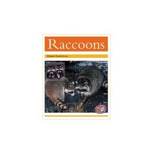 PM Gold: Raccoons (PM Non-fiction) Level 22