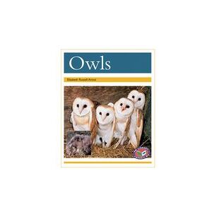 PM Gold: Owls (PM Non-fiction) Level 22