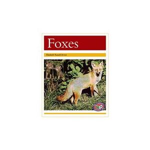 PM Gold: Foxes (PM Non-fiction) Level 22 x 6