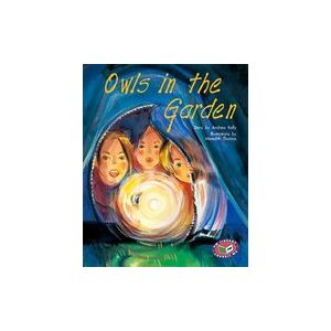 PM Gold: Owls in the Garden (PM Storybooks) Level 21 x 6