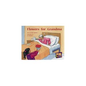 PM Yellow: Flowers for Grandma (PM Gems) Levels 6, 7, 8 x 6