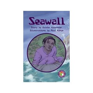 PM Ruby: Seawall (PM Chapter Books) Level 27