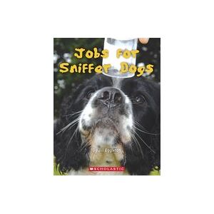Connectors Turquoise: Jobs for Sniffer Dogs x 6