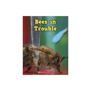 Connectors Gold: Bees in Trouble x 6