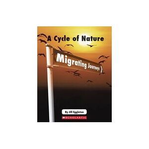 Connectors Ages 11+: A Cycle of Nature - Migrating Journeys x 6